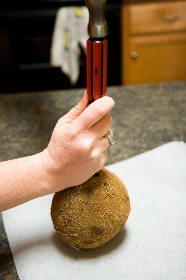 Using a hammer and a screwdriver to open a coconut
