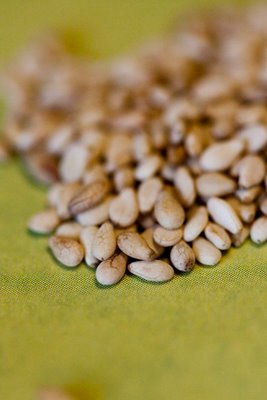 closeup view of sesame seeds