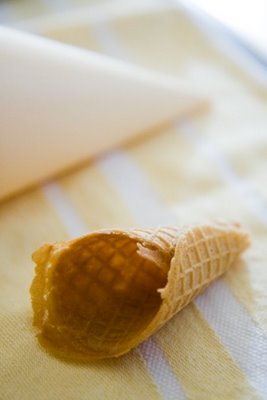 Homemade waffle cone