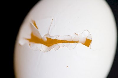Close-up photo of an egg cracked against the edge of a bowl with many pieces of broken eggshell