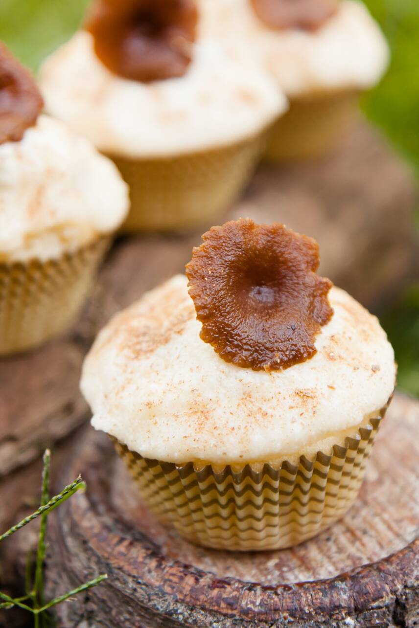 Mushroom Cupcakes A Candy Cap Mushroom Dessert Recipe Cupcake Project
