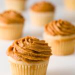 Pumpkin Cupcakes