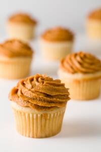 Pumpkin Frosting on vanilla cupcakes