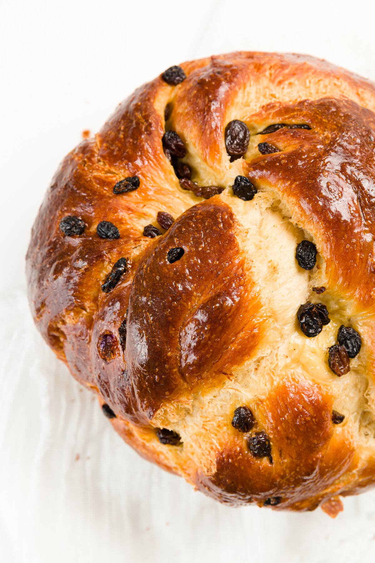 Close up shot of a round challah with rainsins