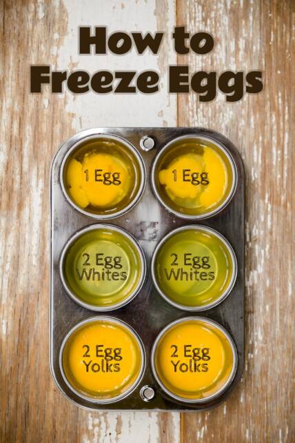 How To Freeze Eggs