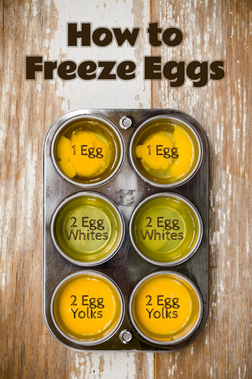 How to Freeze Eggs