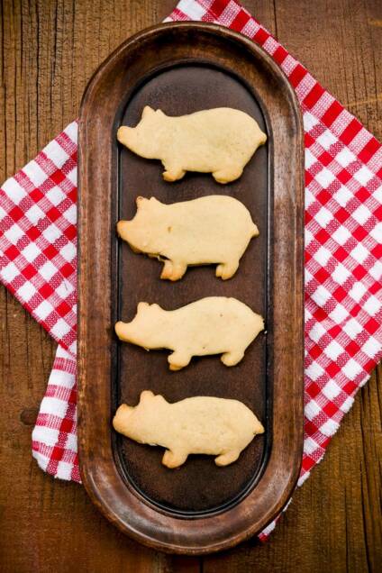 Pig Newtons