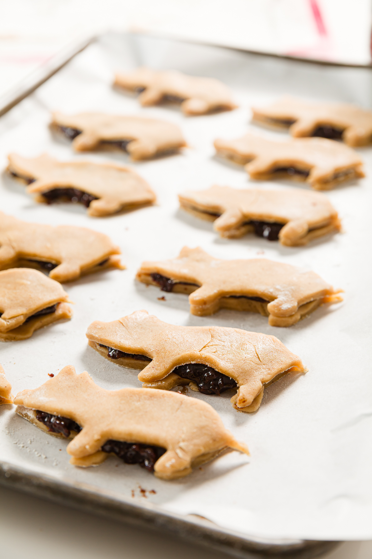 Pig newtons ready to baked on a cookie sheet