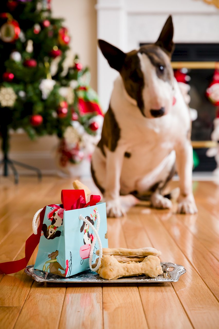 Peanut Butter Oat Dog Biscuits