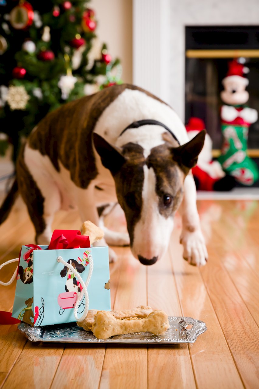 Peanut Butter Oat Dog Biscuits