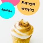 Vegan Meringue Frosting with Aquafaba