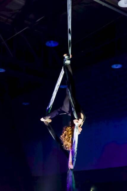 Silks