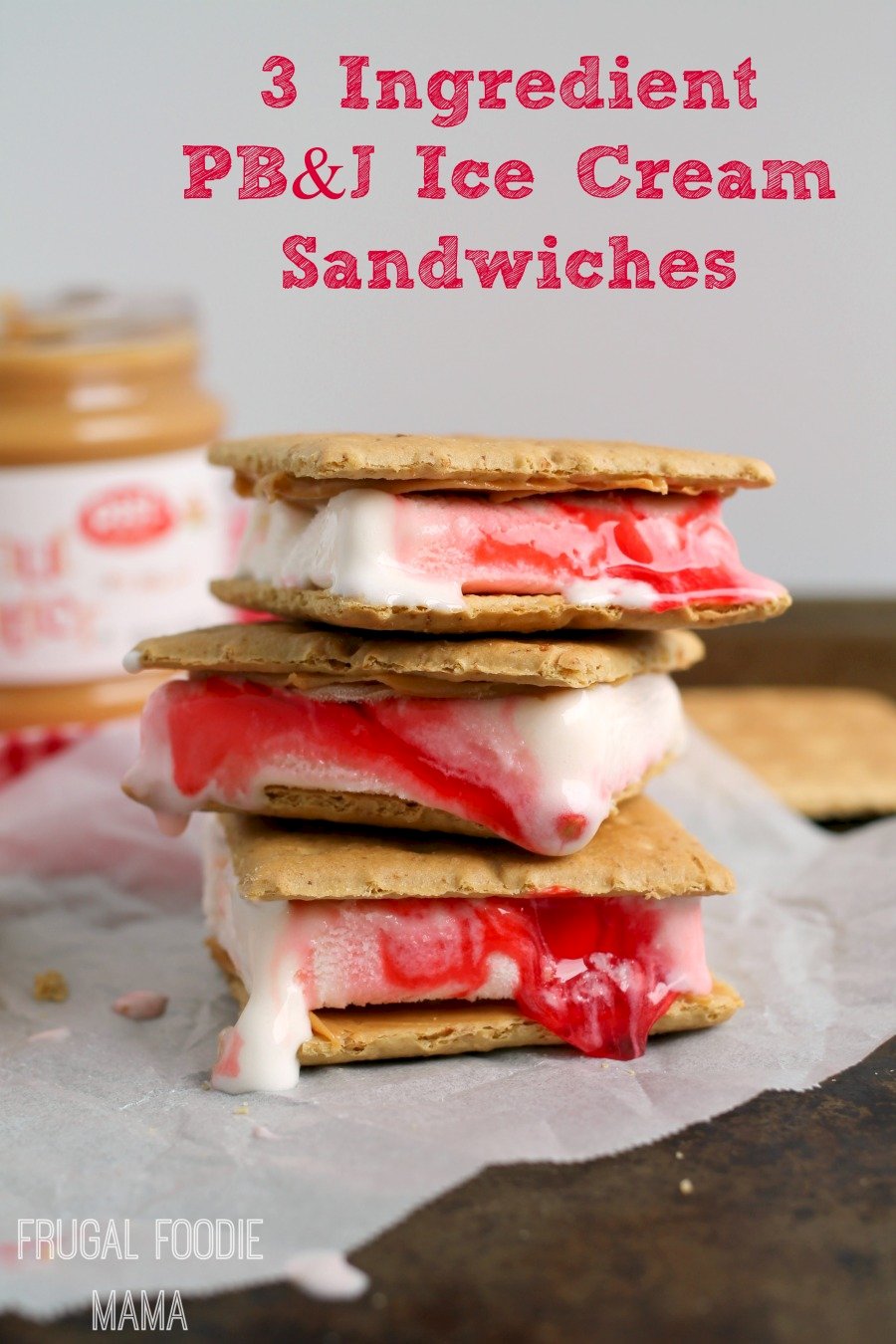 The Ice Cream Sandwich Sandwich (Plus, Nine Bonus Ice Cream Sandwich ...