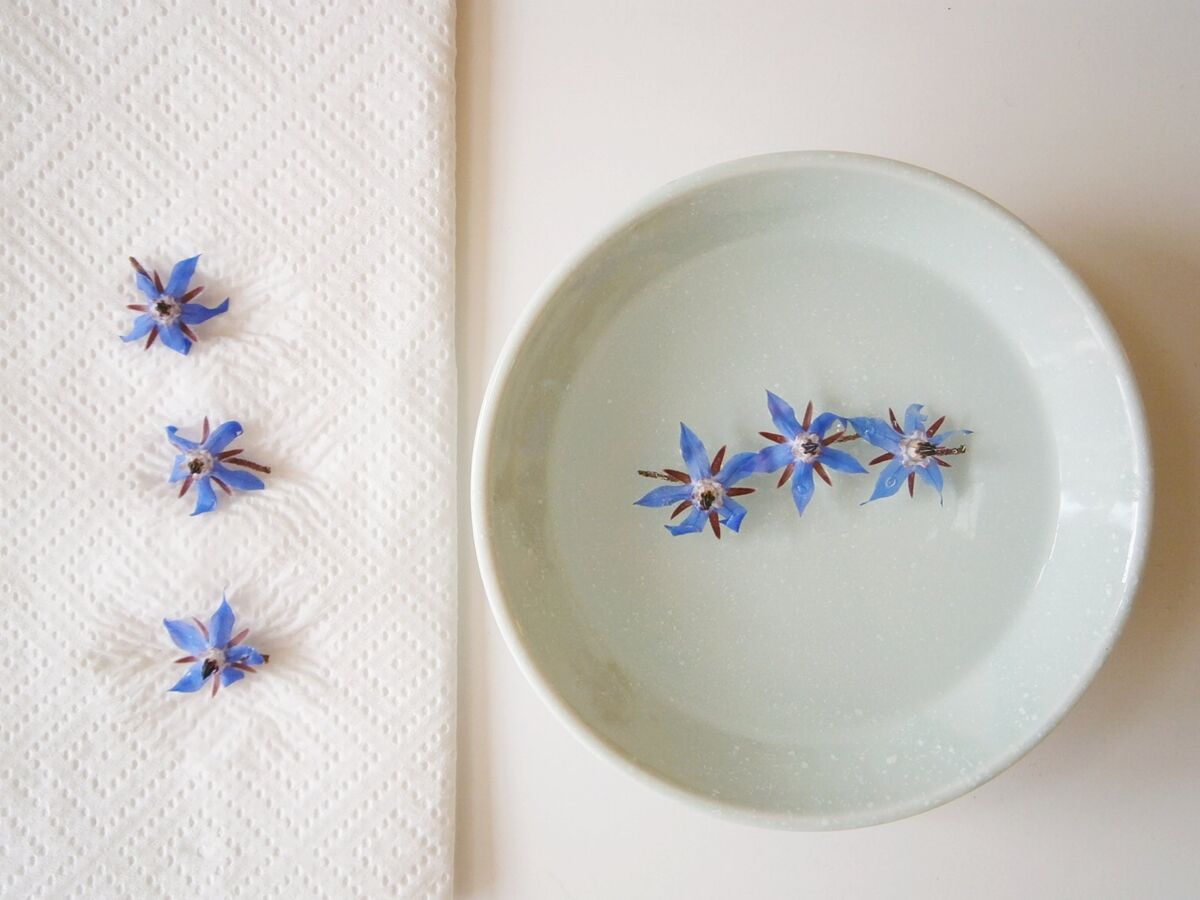 Decorating Cakes With Edible Flowers