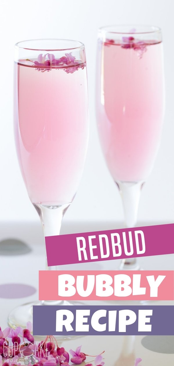 Redbud bubbly is a mix of champagne drinks made easy for everyone. The best drink to serve on a special event on a hot summer day. The sweet and floral taste so fresh and springy with a pretty natural pink. Surprise your friend and family with this drink!