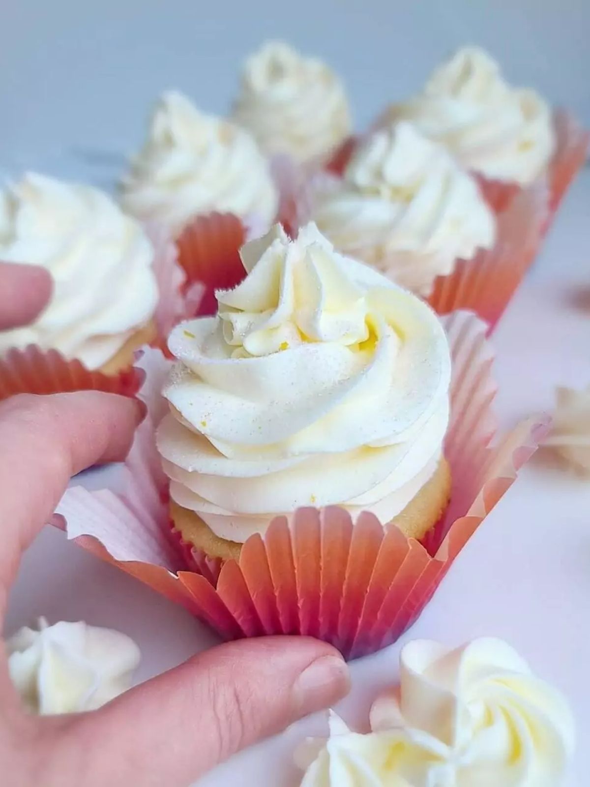 A vanilla cupcake swirled with condensed milk buttercream on top.