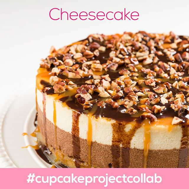 Gallery image for https://www.cupcakeproject.com/turtle-cheesecake/